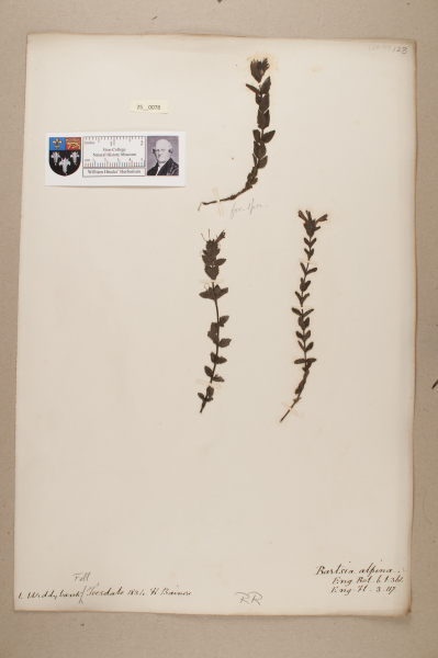 NHM_HH_25.78-2010 image NHM_HH_25.78-2010