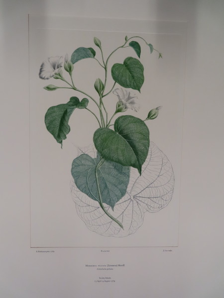 FDA-E.2916_29_23-2016 image FDA-E.2916_29_23-2016