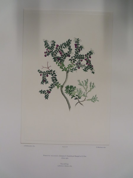 image FDA-E.2916_34_5-2016-A