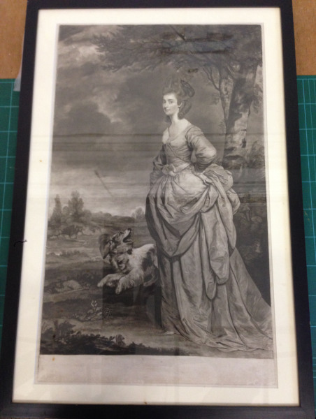 FDA-E.226-2010 image FDA-E.226-2010