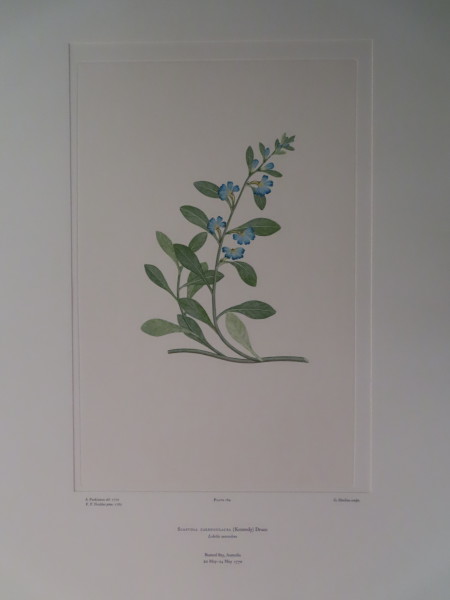 image FDA-E.2916_9_7-2016-A