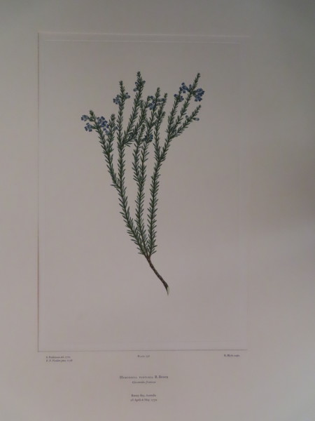 image FDA-E.2916_12_12-2016-A