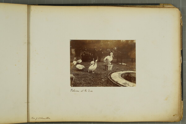 PA-A.82_28-2024 image PA-A.82_28-2024