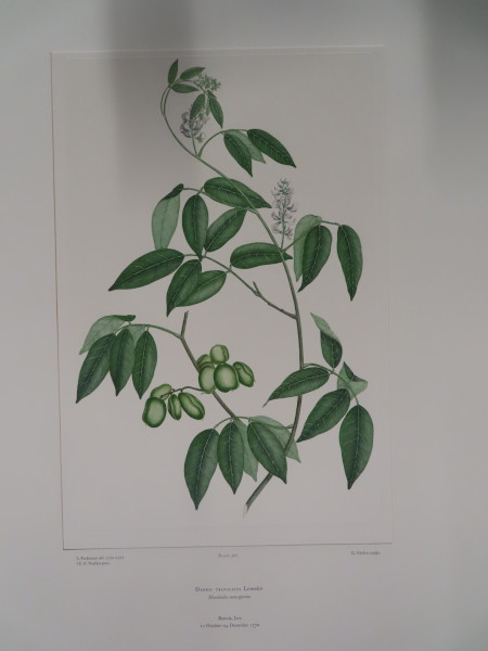 image FDA-E.2916_17_10-2016-A