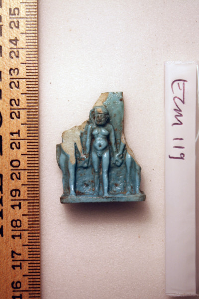 ECM.119-2010-A image ECM.119-2010-A