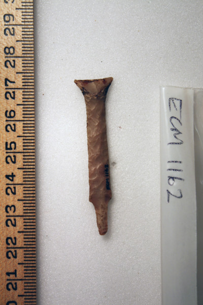 ECM.1162-2010-B image ECM.1162-2010-B