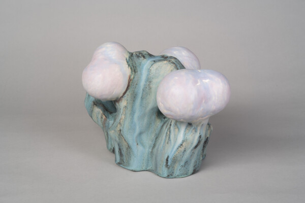 image FDA-A.2561-2024-crC