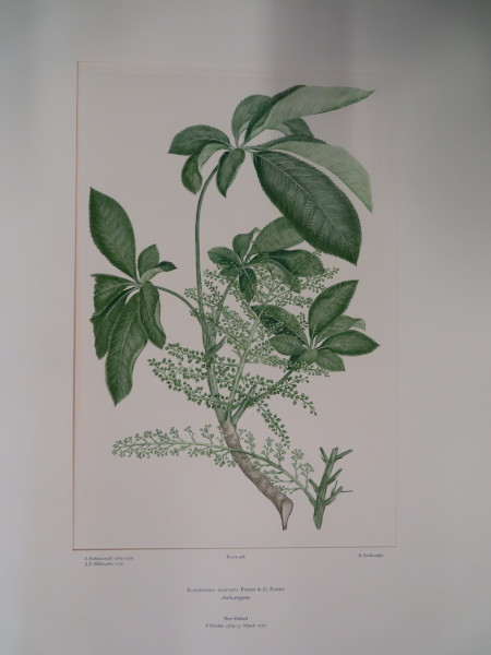 FDA-E.2916_22_23-2016-A image FDA-E.2916_22_23-2016-A