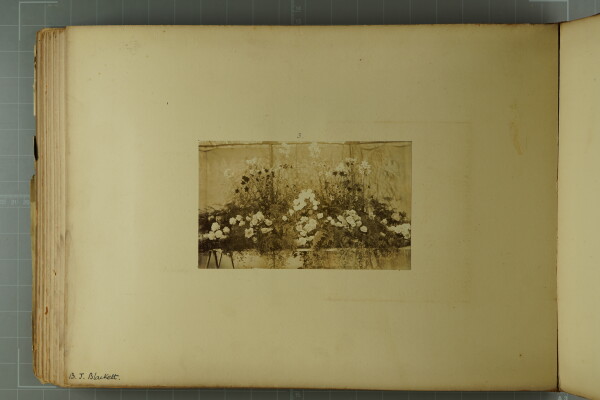 PA-A.79_32-2024 image PA-A.79_32-2024