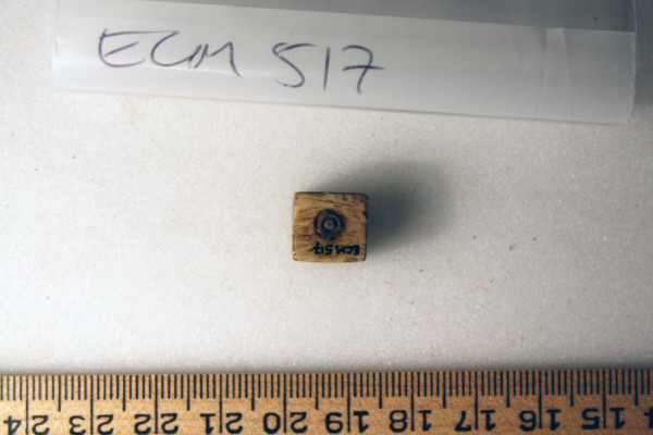 ECM.517-2010-B image ECM.517-2010-B