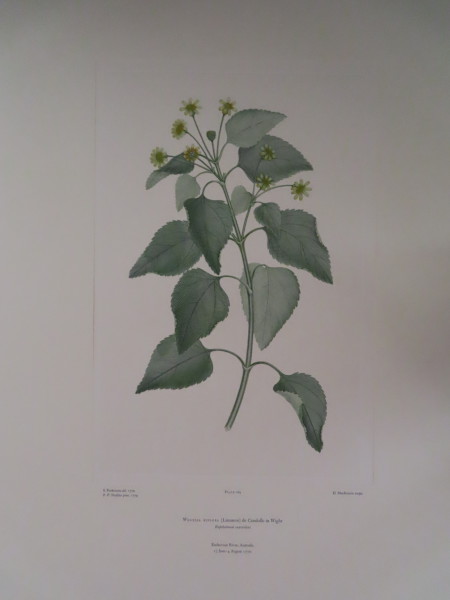 image FDA-E.2916_8_10-2016