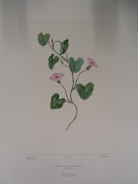 image FDA-E.2916_24_24-2016-A