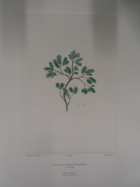 image FDA-E.2916_26_7-2016-A