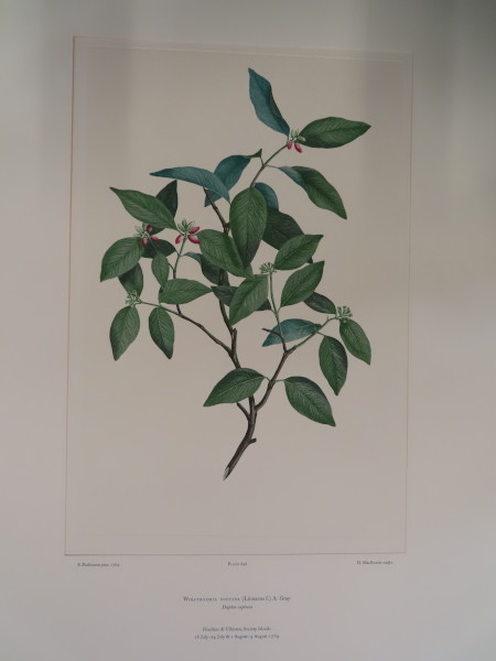 image FDA-E.2916_30_21-2016