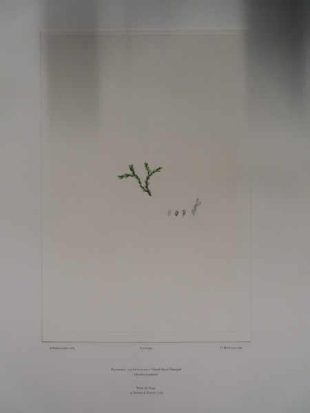 image FDA-E.2916_32_23-2016