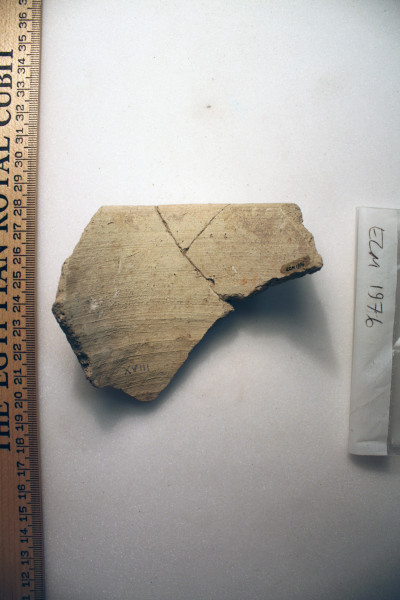 ECM.1976-2010-B image ECM.1976-2010-B