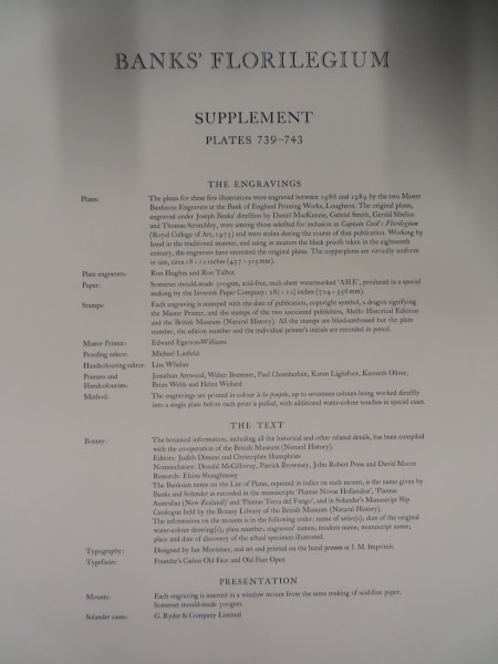 image FDA-E.2916_35_2-2016