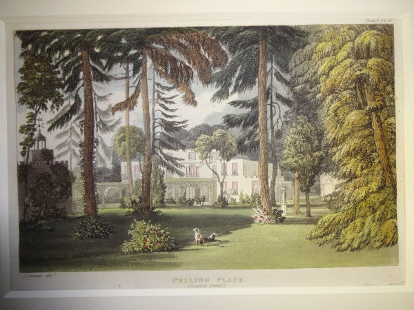 FDA-E.2865_21-2016 image FDA-E.2865_21-2016