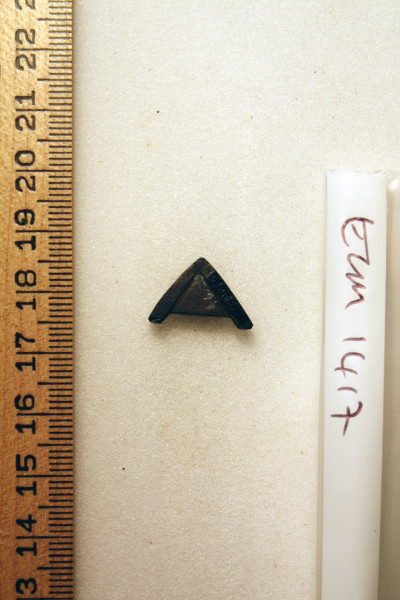 ECM.1417-2010-B image ECM.1417-2010-B