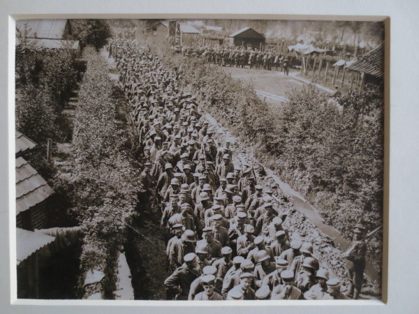 ECL-O.106-2014 image ECL-O.106-2014