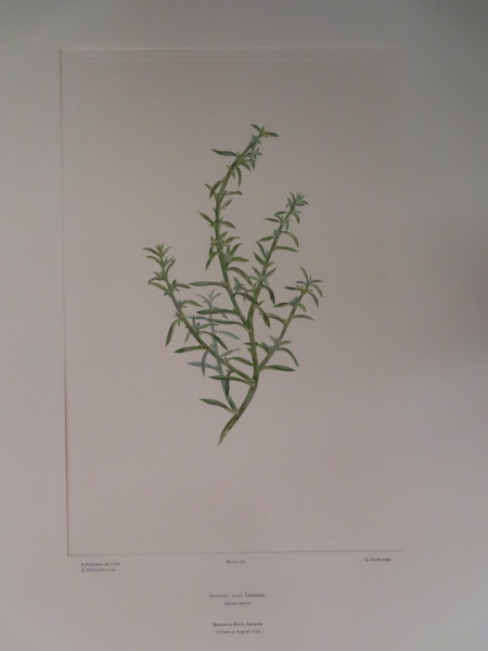 FDA-E.2916_12_17-2016-A image FDA-E.2916_12_17-2016-A