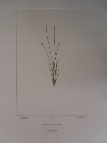 image FDA-E.2916_15_24-2016