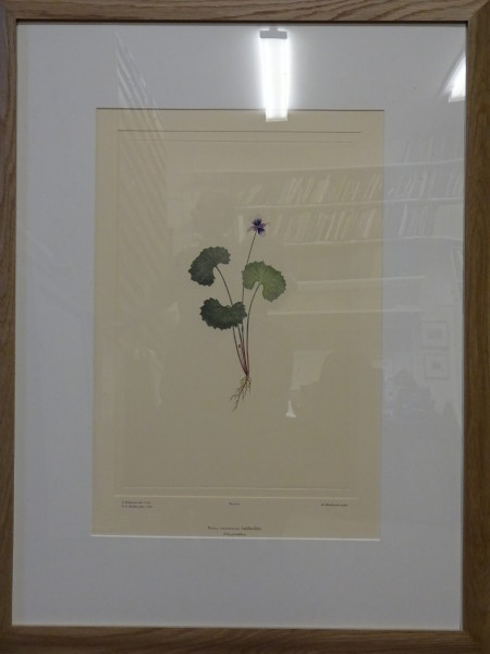 FDA-E.2916_1_10-2016 image FDA-E.2916_1_10-2016