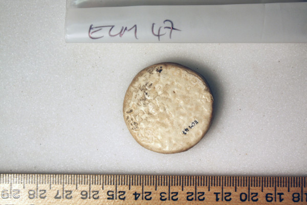 ECM.47-2010-B image ECM.47-2010-B