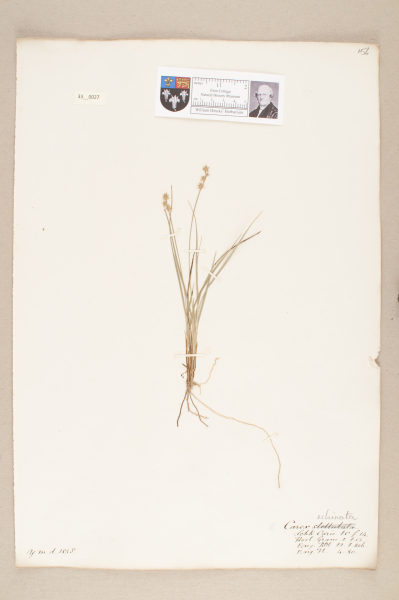 NHM_HH_33.27-2010 image NHM_HH_33.27-2010