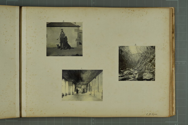 PA-A.81_52-2024 image PA-A.81_52-2024