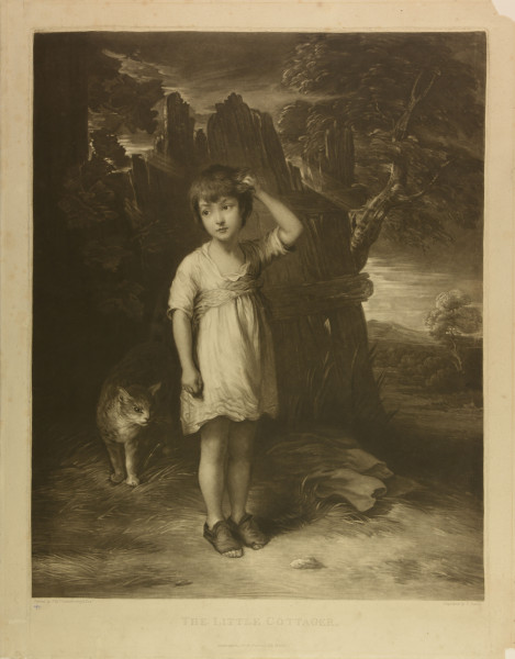 FDA-E.356-2010 image FDA-E.356-2010