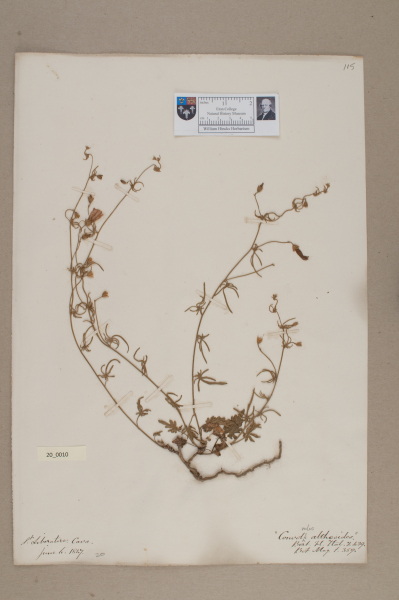 NHM_HH_20.10-2010 image NHM_HH_20.10-2010