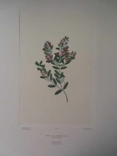 image FDA-E.2916_6_15-2016