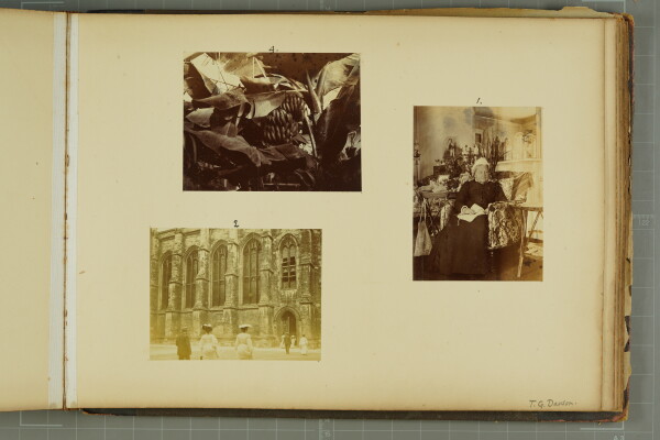 PA-A.79_41-2024 image PA-A.79_41-2024