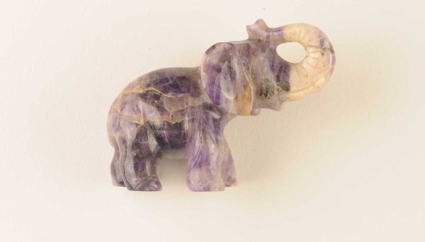 NHM-EE.98-2015 image NHM-EE.98-2015