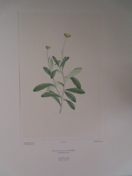 image FDA-E.2916_8_15-2016