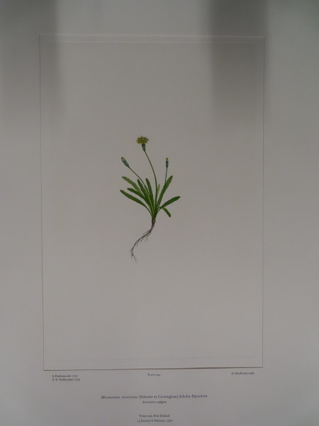 FDA-E.2916_24_5-2016 image FDA-E.2916_24_5-2016