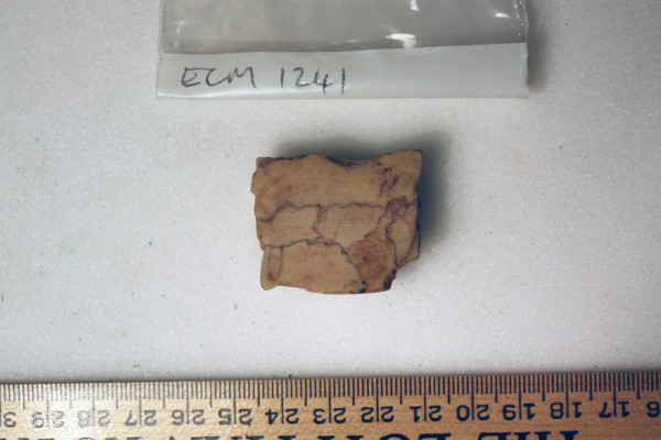 ECM.1241-2010-A image ECM.1241-2010-A