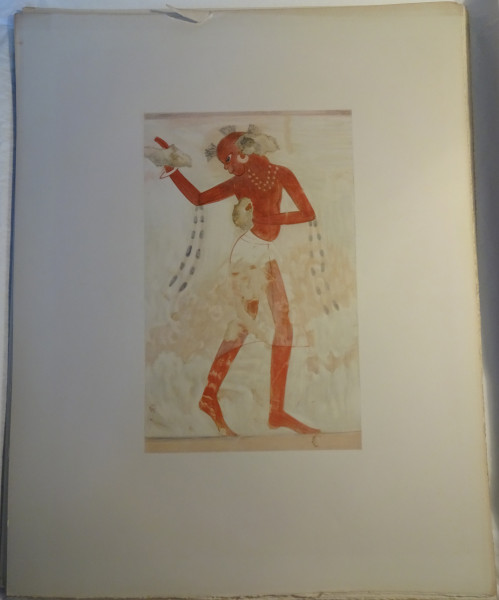 FDA-E.3055_44-2018 image FDA-E.3055_44-2018