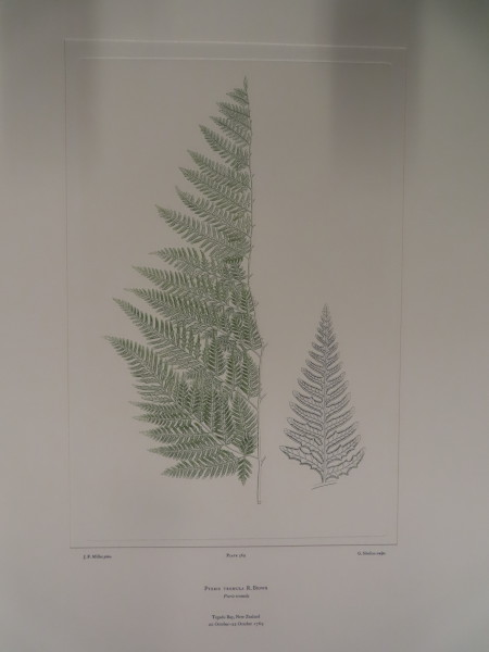 FDA-E.2916_27_11-2016 image FDA-E.2916_27_11-2016