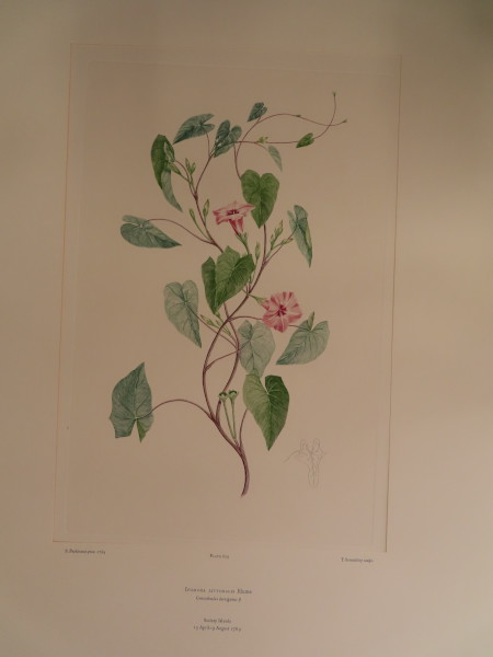 FDA-E.2916_30_4-2016-A image FDA-E.2916_30_4-2016-A