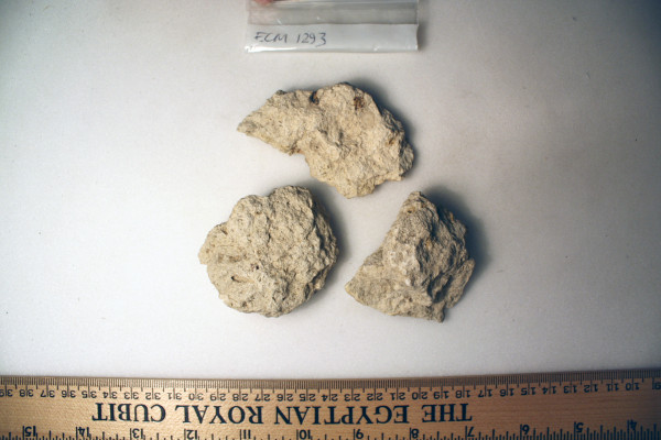 ECM.1293-2010-B image ECM.1293-2010-B