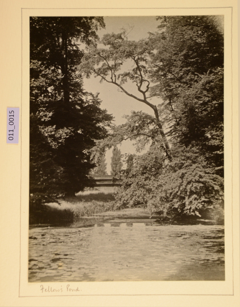 PA-A.11_15-2012 image PA-A.11_15-2012