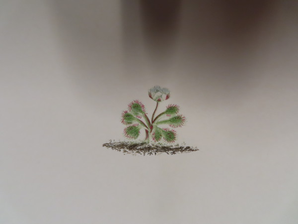 FDA-E.2916_35_8-2016-A image FDA-E.2916_35_8-2016-A