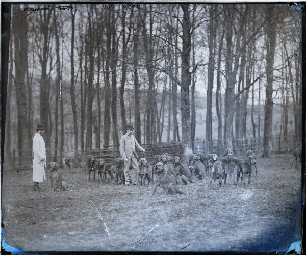 PA-N.1217-2024 image PA-N.1217-2024