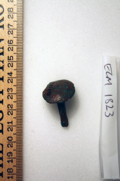 ECM.1823-2010-B image ECM.1823-2010-B