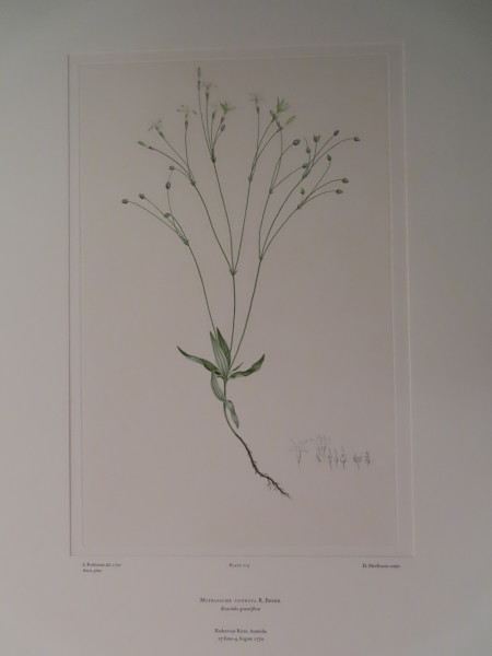 image FDA-E.2916_10_16-2016