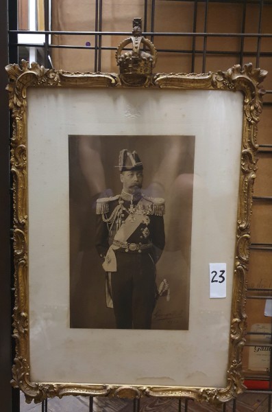 FDA-E.3223-2023 image FDA-E.3223-2023