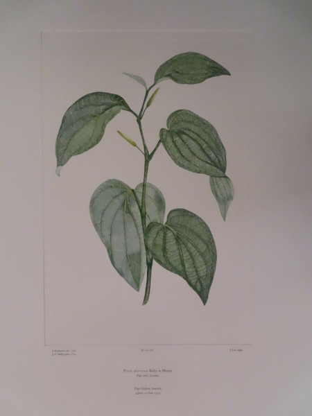 image FDA-E.2916_12_22-2016