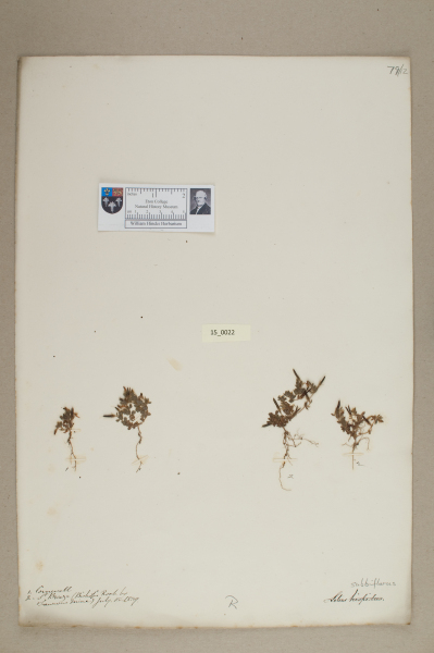 NHM_HH_15.22-2010 image NHM_HH_15.22-2010